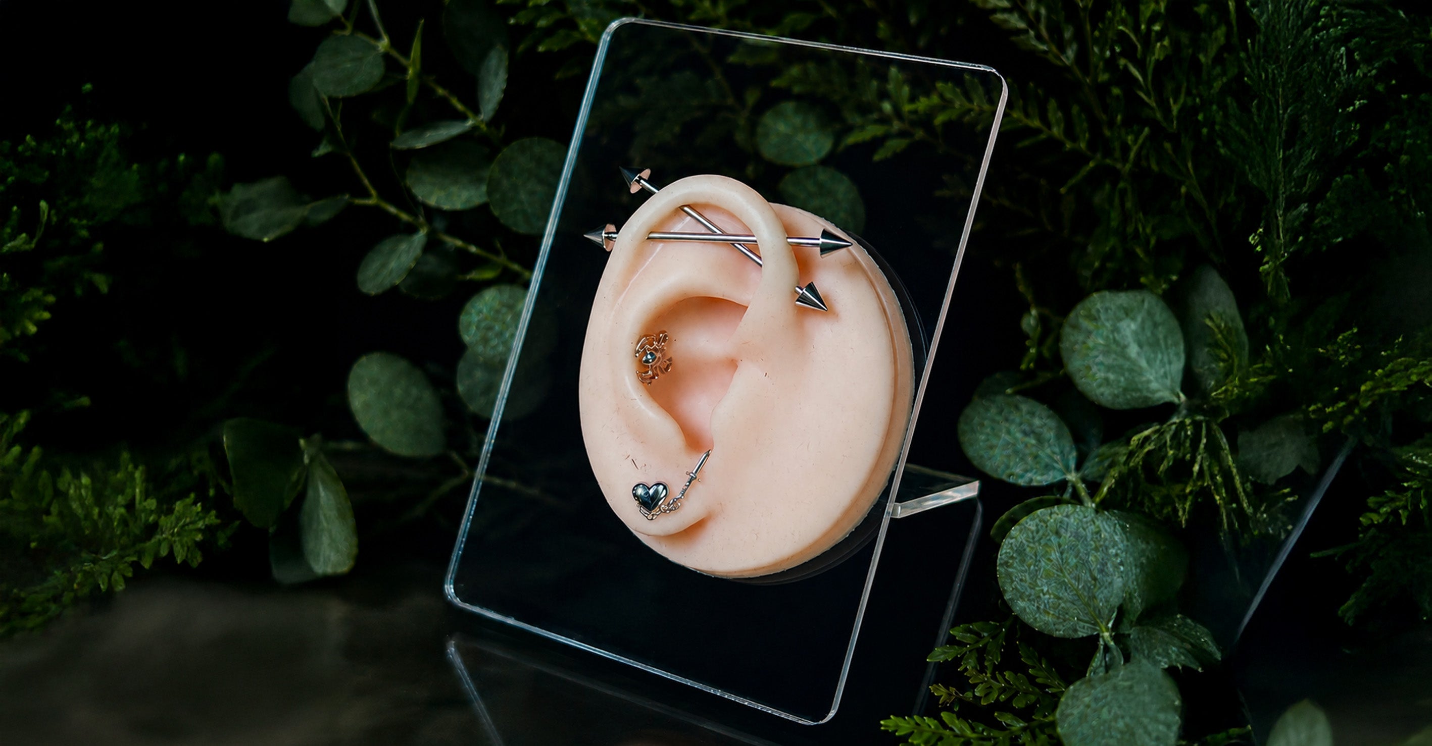 Professional ear piercing at Day Dweller Studios in Bristol
