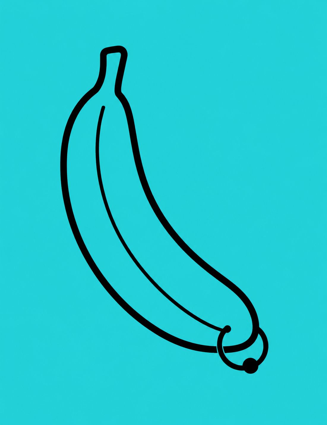 Anatomical illustration showing Prince Albert piercing placement